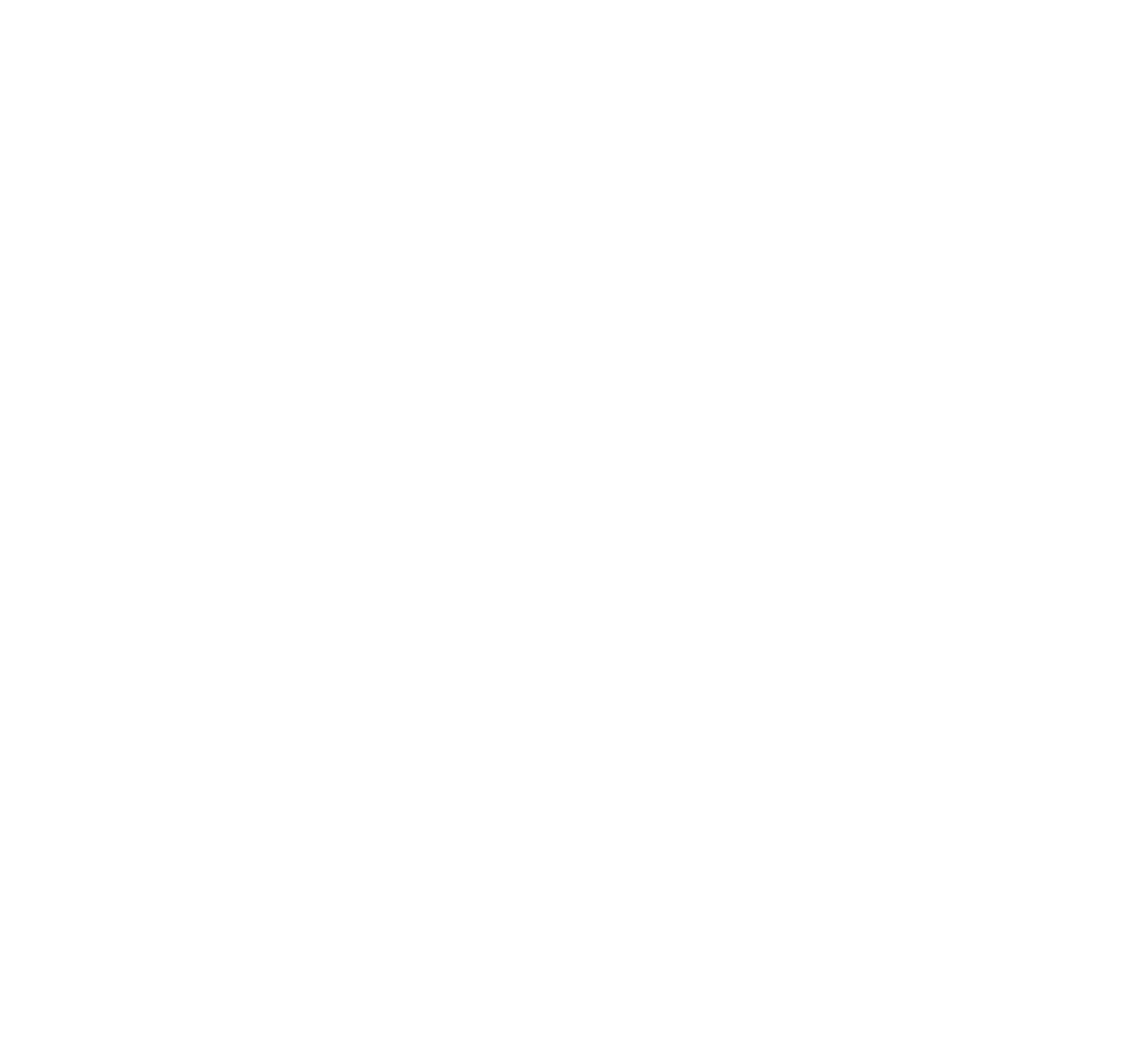 INVISIBLE COMPASS